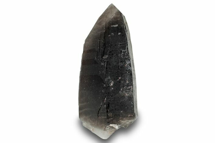Natural, Dark Smoky Quartz Crystal - Colorado #244509
